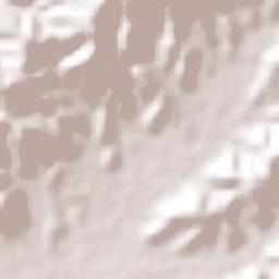 Totoltepec Terrain Map