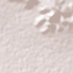 San Lucas el Viejo Terrain Map