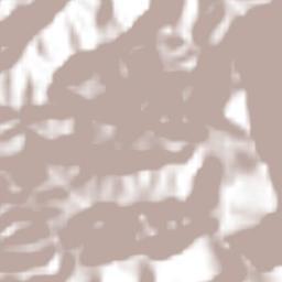 Zongolica Terrain Map