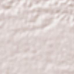 Huixcolotla Terrain Map