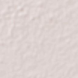 Zacate Colorado Segundo (Fraternidad) Terrain Map