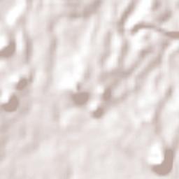 La Nueva Victoria Terrain Map