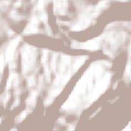 Cornillon Terrain Map