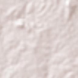 Guayabo Dulce Terrain Map