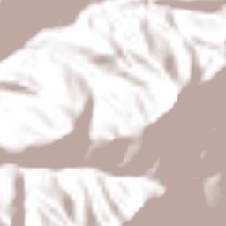 Tlatlaya Terrain Map