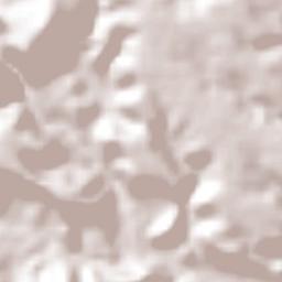 Huajintlán Terrain Map