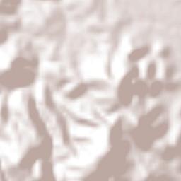 Huitchila Terrain Map