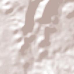 Coatzingo Terrain Map