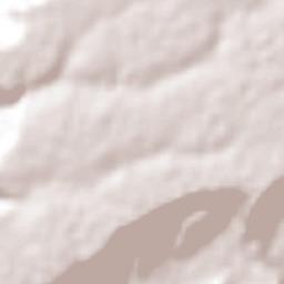 Santa Catarina Tlaltempan Terrain Map