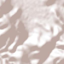 San José de Gracia Terrain Map