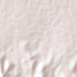 Tepetlacolco Terrain Map