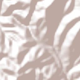 Nicolás Bravo Terrain Map