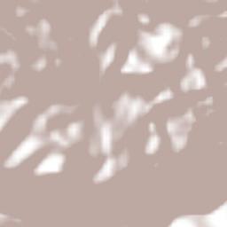 Texhuacán Terrain Map