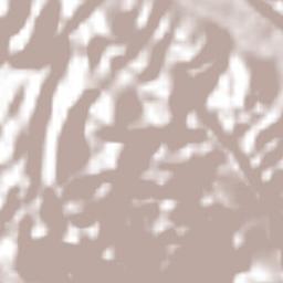 Motzorongo Terrain Map