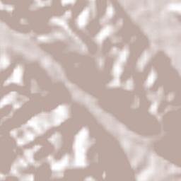 Tezonapa Terrain Map