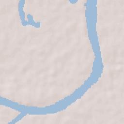 Tlacotalpan Terrain Map