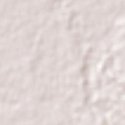 Angel R. Cabada Terrain Map