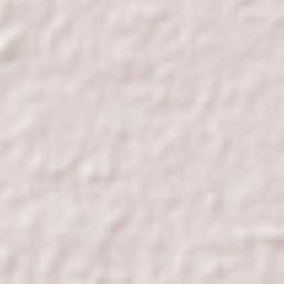 Licenciado Gustavo Díaz Ordaz (18 de Marzo) Terrain Map