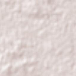 Constitución Terrain Map