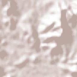 Las Cañas Terrain Map