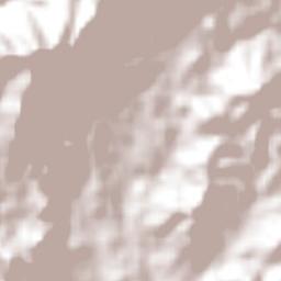 San Pedro Limón Terrain Map