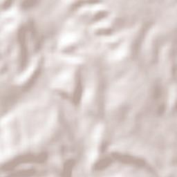 El Estudiante Terrain Map