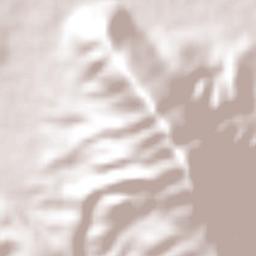 Pedro Amaro Terrain Map