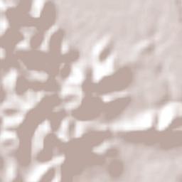 Tepalcingo Terrain Map