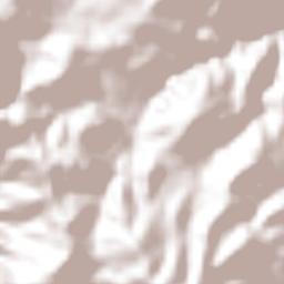 Rancho Nuevo Terrain Map