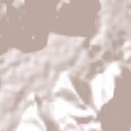 Cosolapa Terrain Map