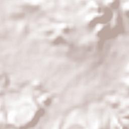 Tecolapan Terrain Map