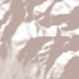 Tábara Arriba Terrain Map