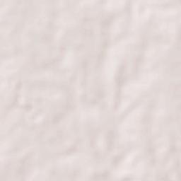 Lohogaon Terrain Map