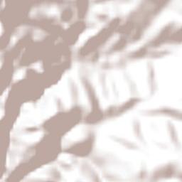 San Juan de Dios (Naranjas de Dios) Terrain Map