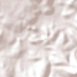 Tehuixtla Terrain Map