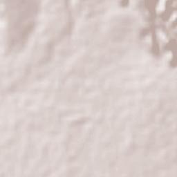 Miahuatlán Terrain Map