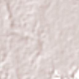 Acatlán de Pérez Figueroa Terrain Map