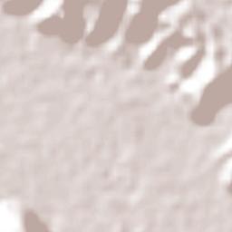 Zona Urbana Ejidal Terrain Map