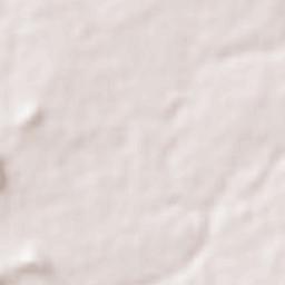 Shivaji Nagar Terrain Map