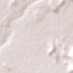 Atencingo Terrain Map