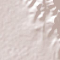 San Isidro Vista Hermosa Terrain Map