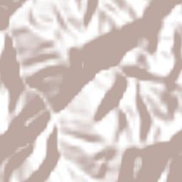 Xopilapa Terrain Map