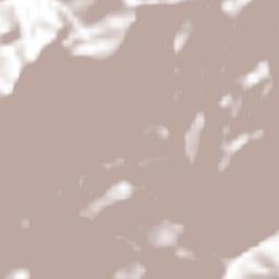 Loma Bonita Terrain Map