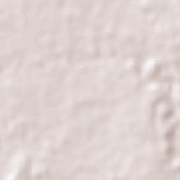 Carlos A. Madrazo Terrain Map