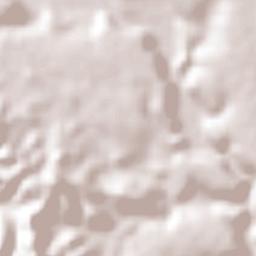 Tzicatlán Terrain Map