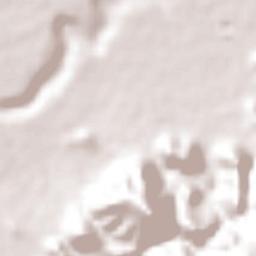 Buenavista de Benito Juárez Terrain Map