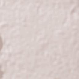 Tehuacán Terrain Map