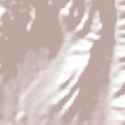 Necoxcalco Terrain Map