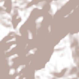 Coxolico Terrain Map