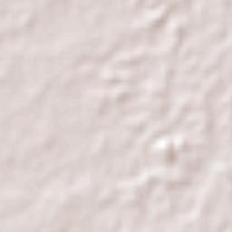 Tres Zapotes Terrain Map